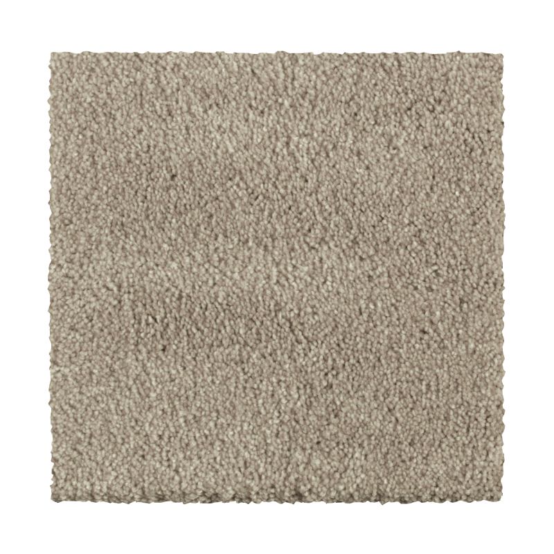 Shop Mohawk Everstrand Distinct Beauty II Java 2W54-833 Carpet