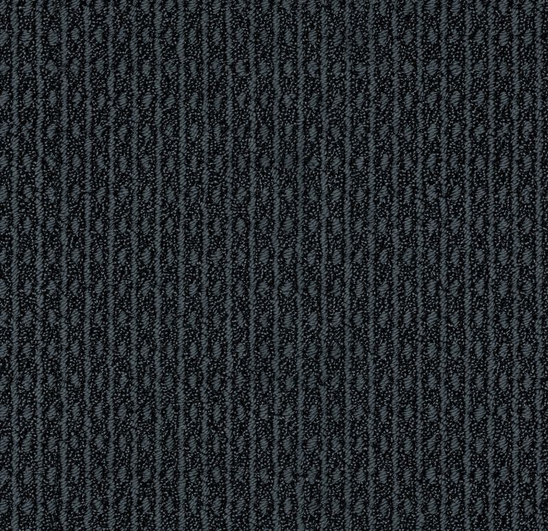 Shop Anderson Tuftex Moondance Empress 00339_ZZ035 Carpet | Floors
