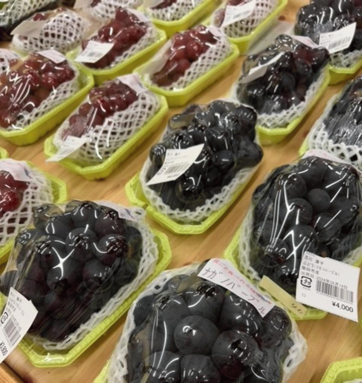 直売所からのお知らせ | JAみなみ信州