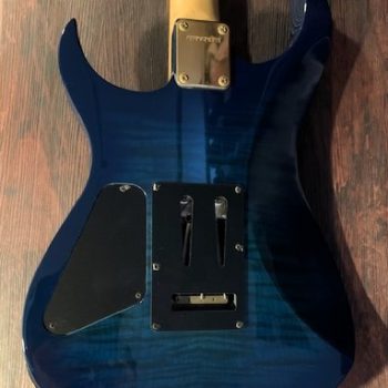 FERNANDES FGZ-550 – エムズサウンド