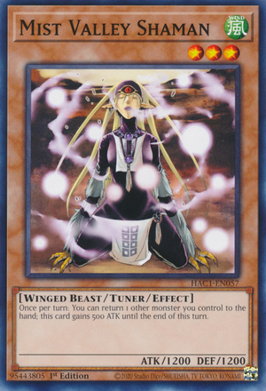 Mist Valley Shaman - Yugipedia
