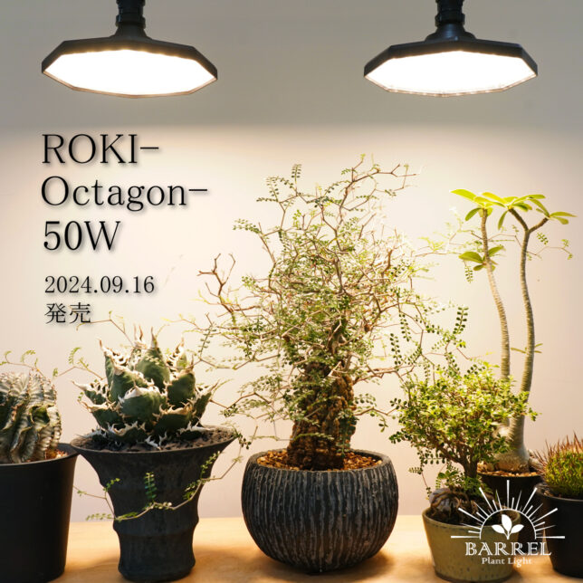 9月16日発売【 ROKI-Octagon-50W 】をご紹介 – 植物育成ライト 専門店