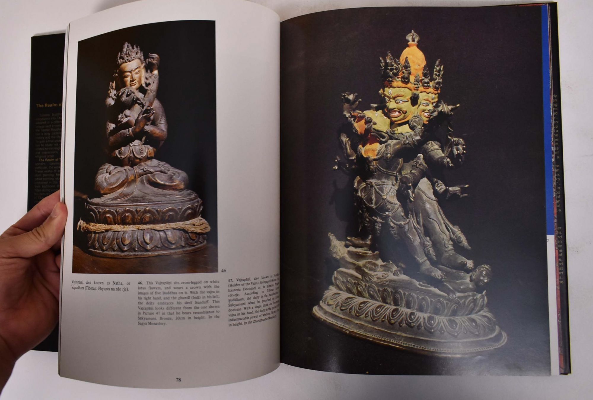 THE REALM OF TIBETAN BUDDHISM チベット仏教の本 THE REALM OF