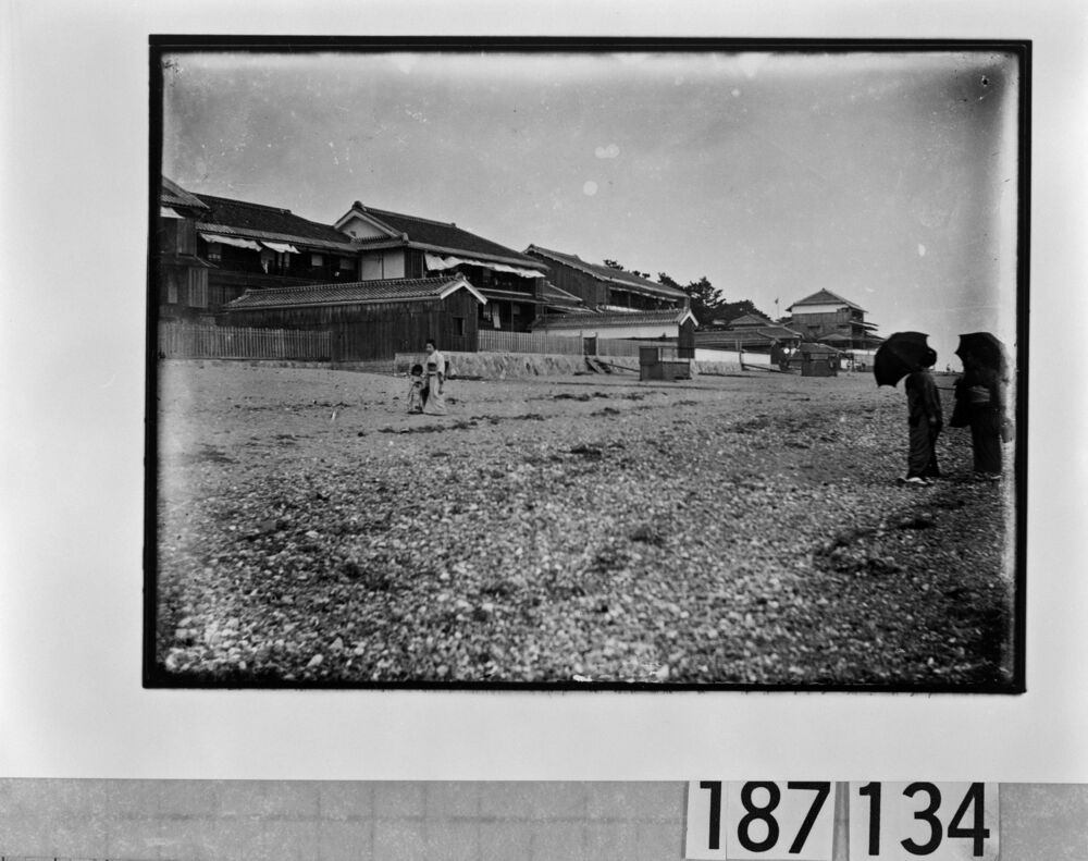 稀少レア江戸時代1707年宝永5年（317年前）徳川綱吉公治世高さ