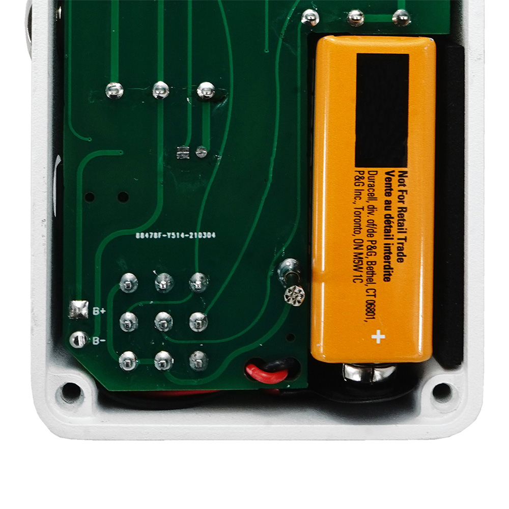 ANIMALS PEDAL FISHING IS AS FUN AS FUZZ｜ミュージックランドKEY