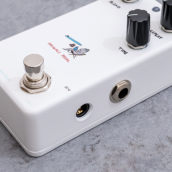 ANIMALS PEDALRELAXING WALRUS DELAY｜ミュージックランドKEY