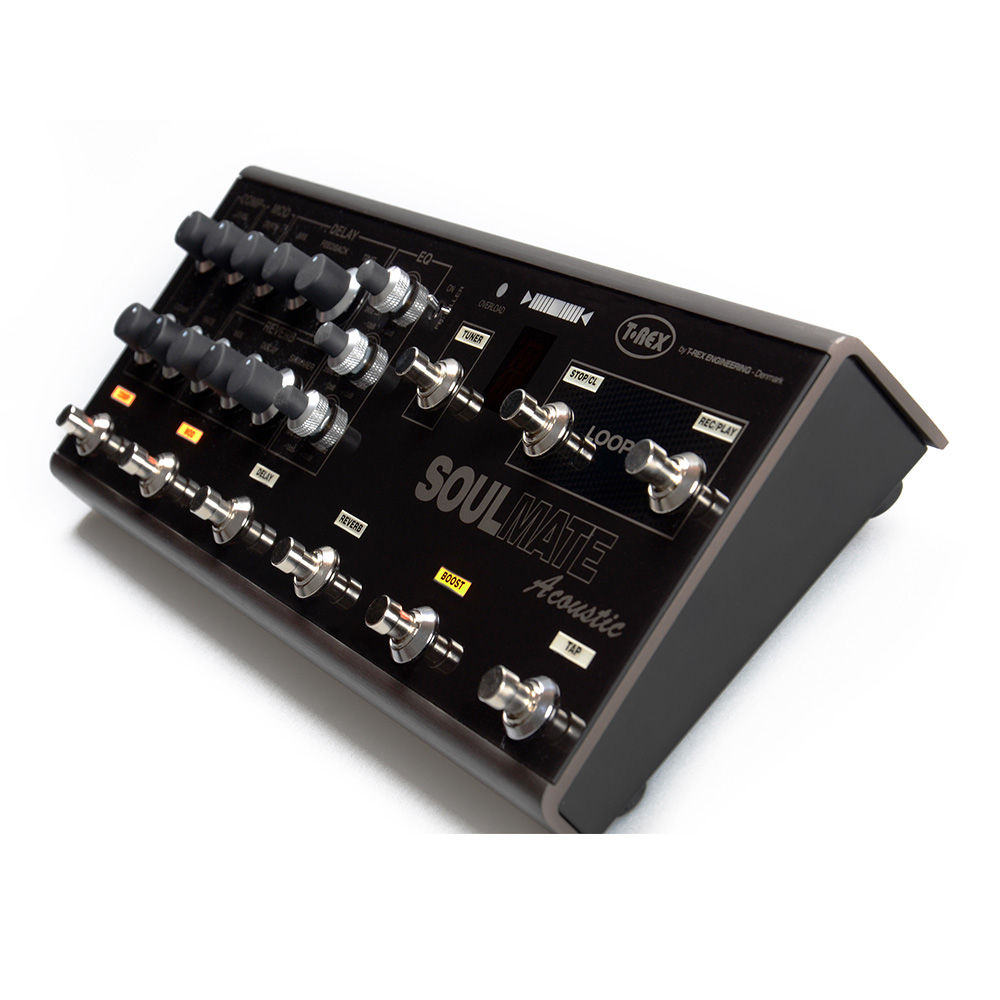 T-REX SOULMATE [訳あり] T-REX SOULMATE [訳あり]