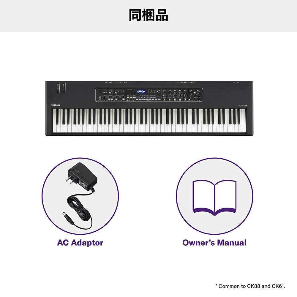 YAMAHA CK61｜ミュージックランドKEY