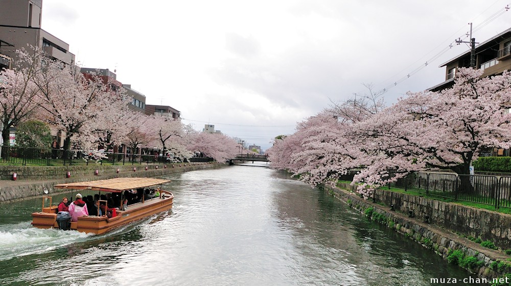 sakura-okazaki-canal-big.jpg