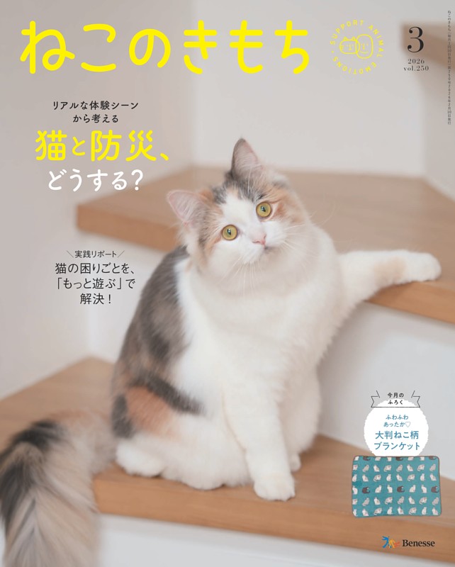 ねこのきもち 2026年3月号 | dマガジンなら人気雑誌が読み放題！