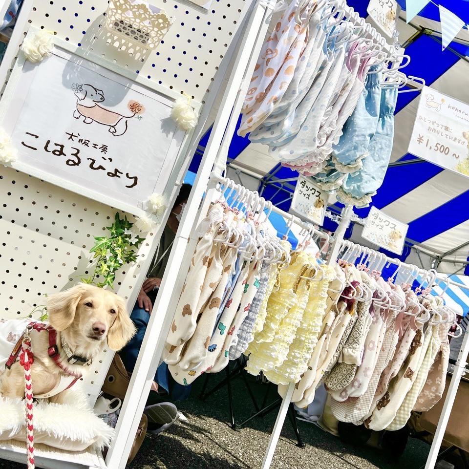 犬服工房こはるびより | & My Dog 7 ドッグマルシェ in トワイライト