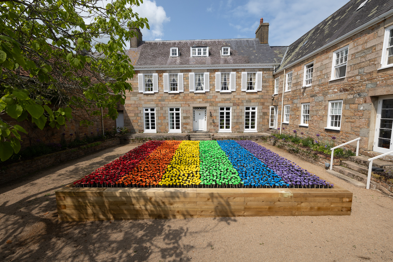 Meadow of Glow-in-the-Dark Flowers Support Wildlife Conservation
