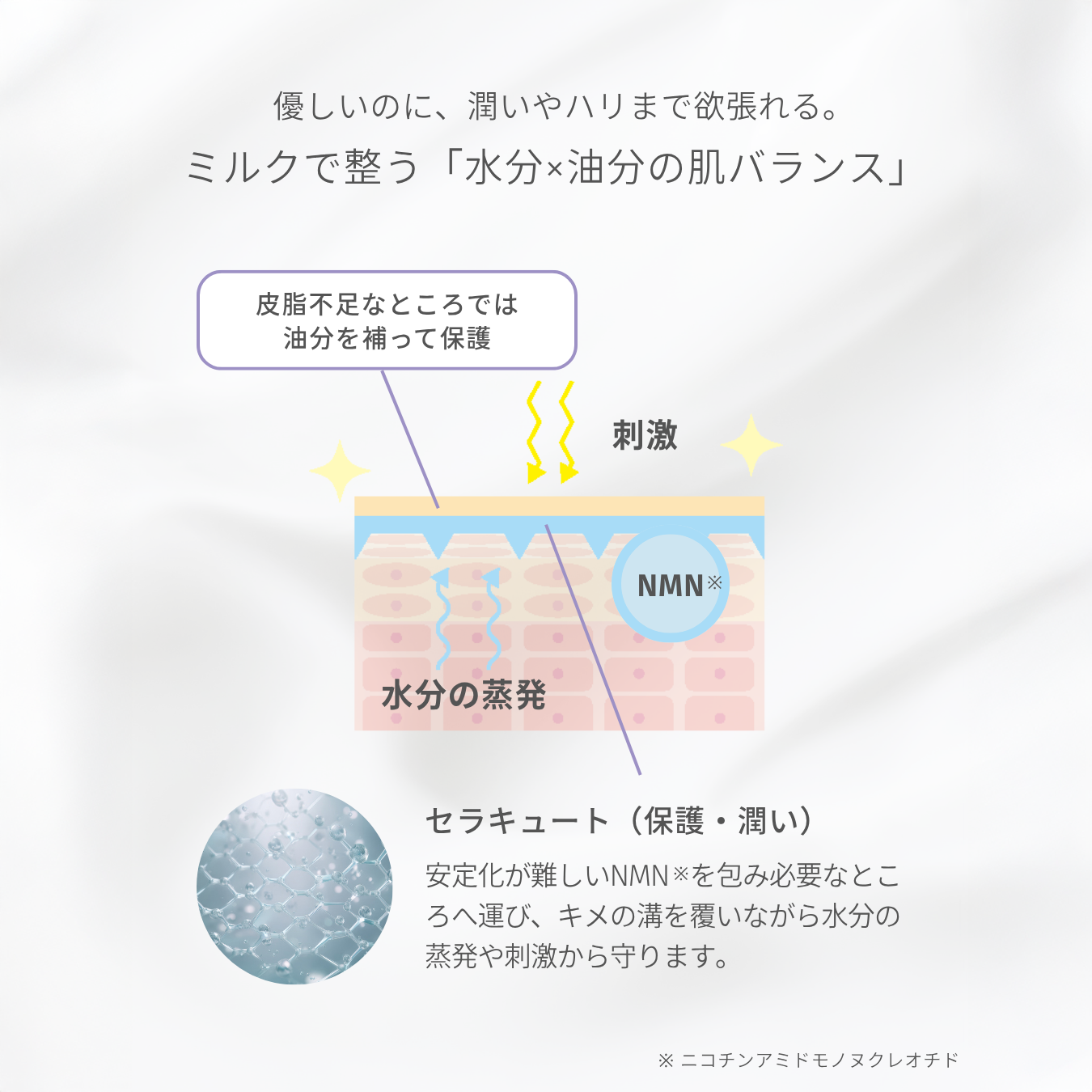 バランセラMNミルク – My NADESHICO Store