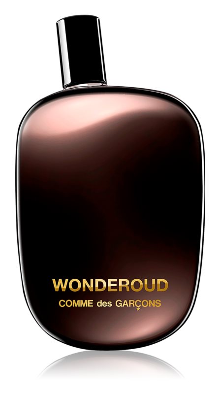 Comme des Garçons Wonderwood Unisex Eau de Parfum 100 ml – My Dr. XM