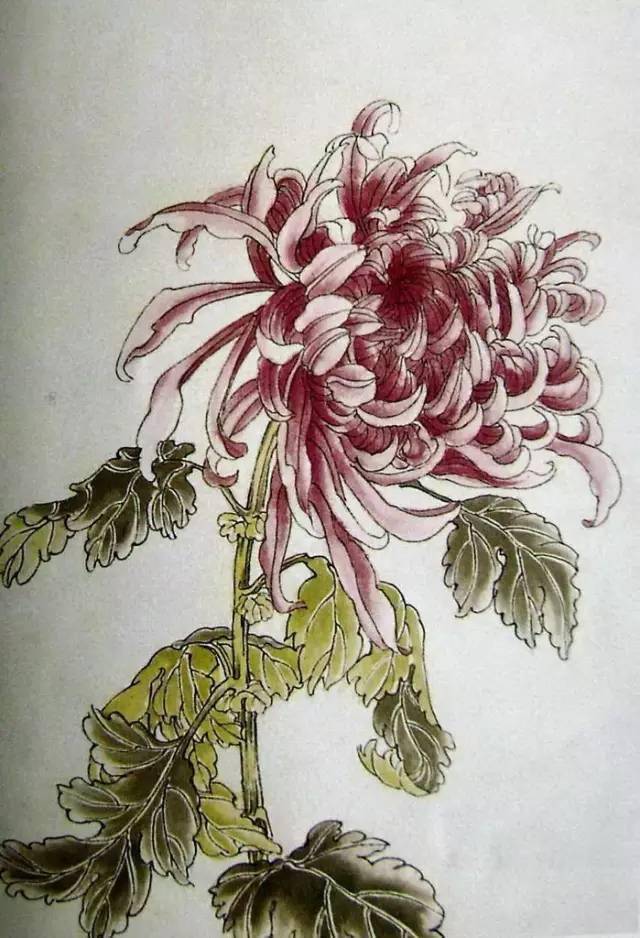 四君子”梅兰竹菊画法，实用收藏！ - 墨韵书香