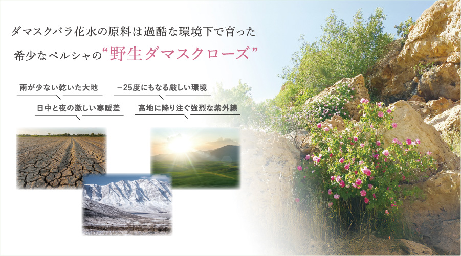 プレミアムナチュレ パック – 【公式】ミューフル ( myufull ) 化粧品