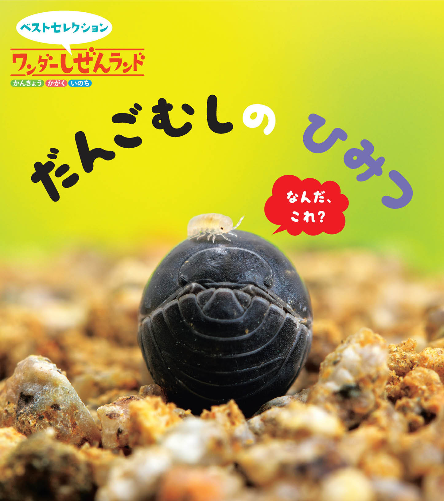 ワンダーしぜんランド 2026年度版 | 世界文化ワンダー