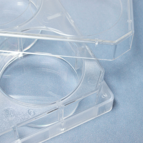 SPL セルカルチャープレート 6ウェル / Surface Treatment＋（個別包装