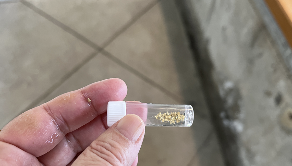 第49回 佐渡島最古の金の産地で砂金とり体験 - 新潟文化物語