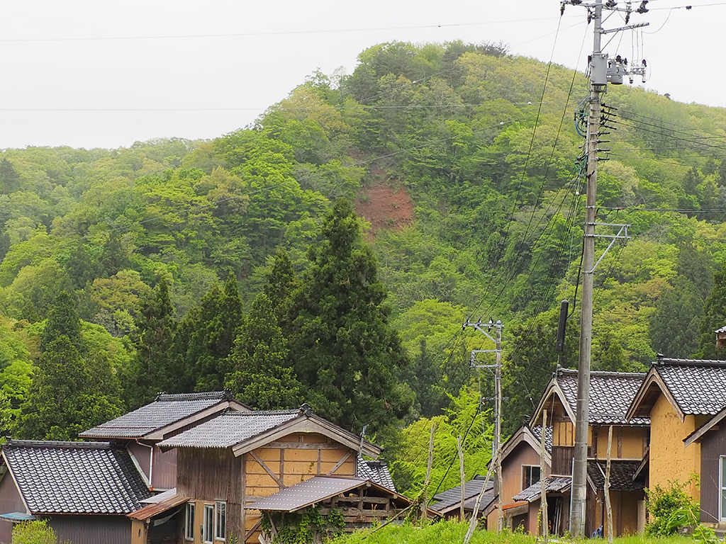 第49回 佐渡島最古の金の産地で砂金とり体験 - 新潟文化物語