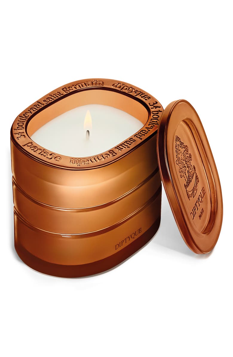 Diptyque Terres Blondes Refillable Candle | Nordstrom