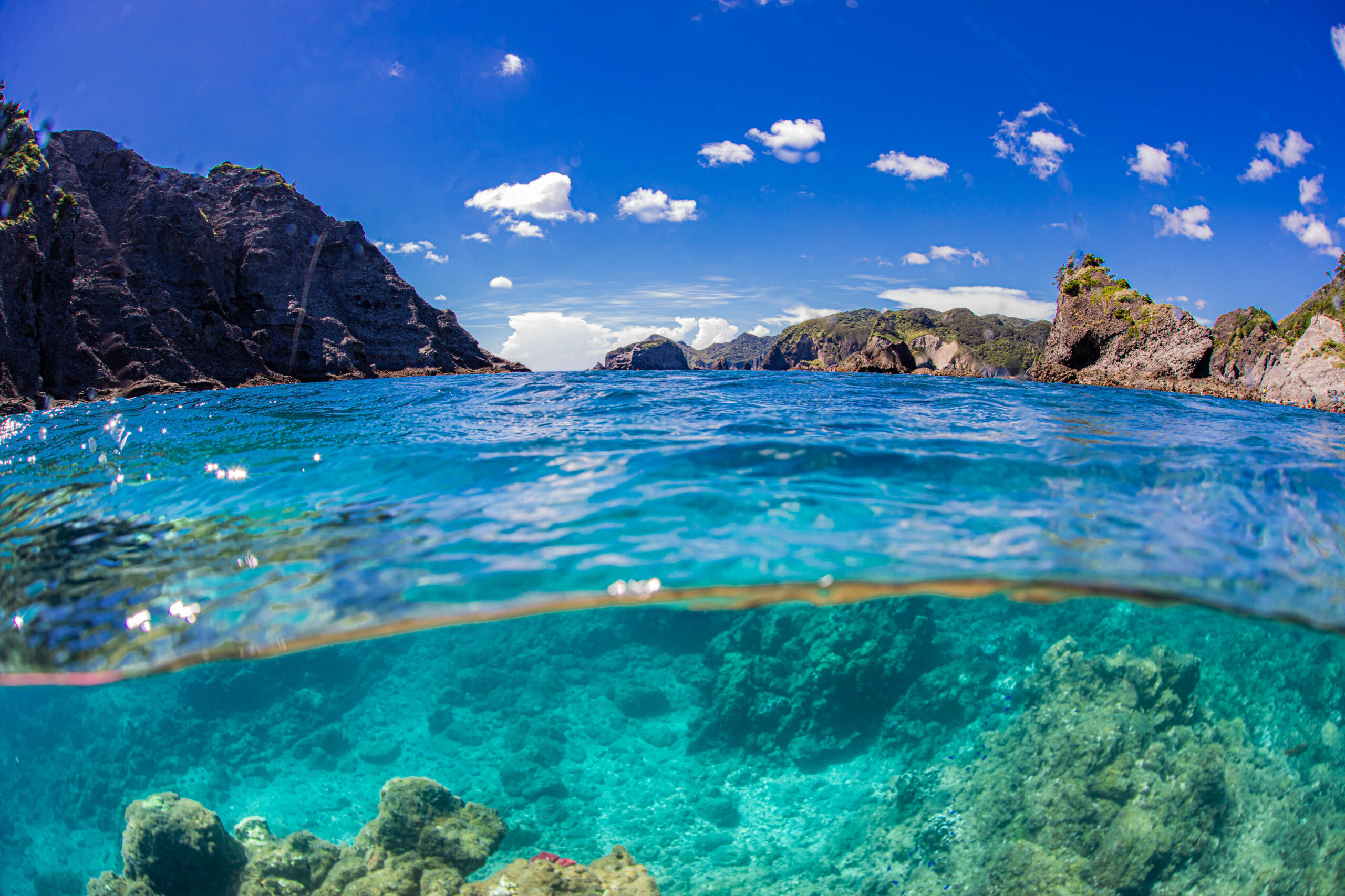 9/27 運行 | 仲木へ行こうよ SNORKELING WORLD