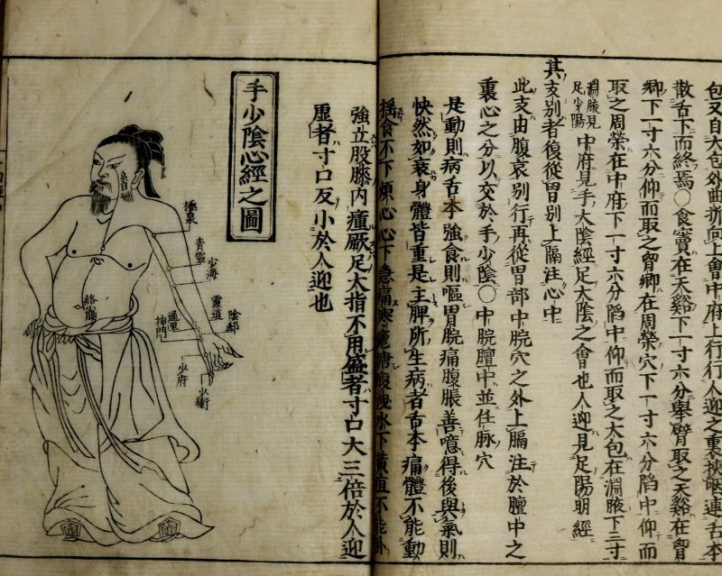 新入荷品】 古書目録 ① 令和2年1月号 漢方医書