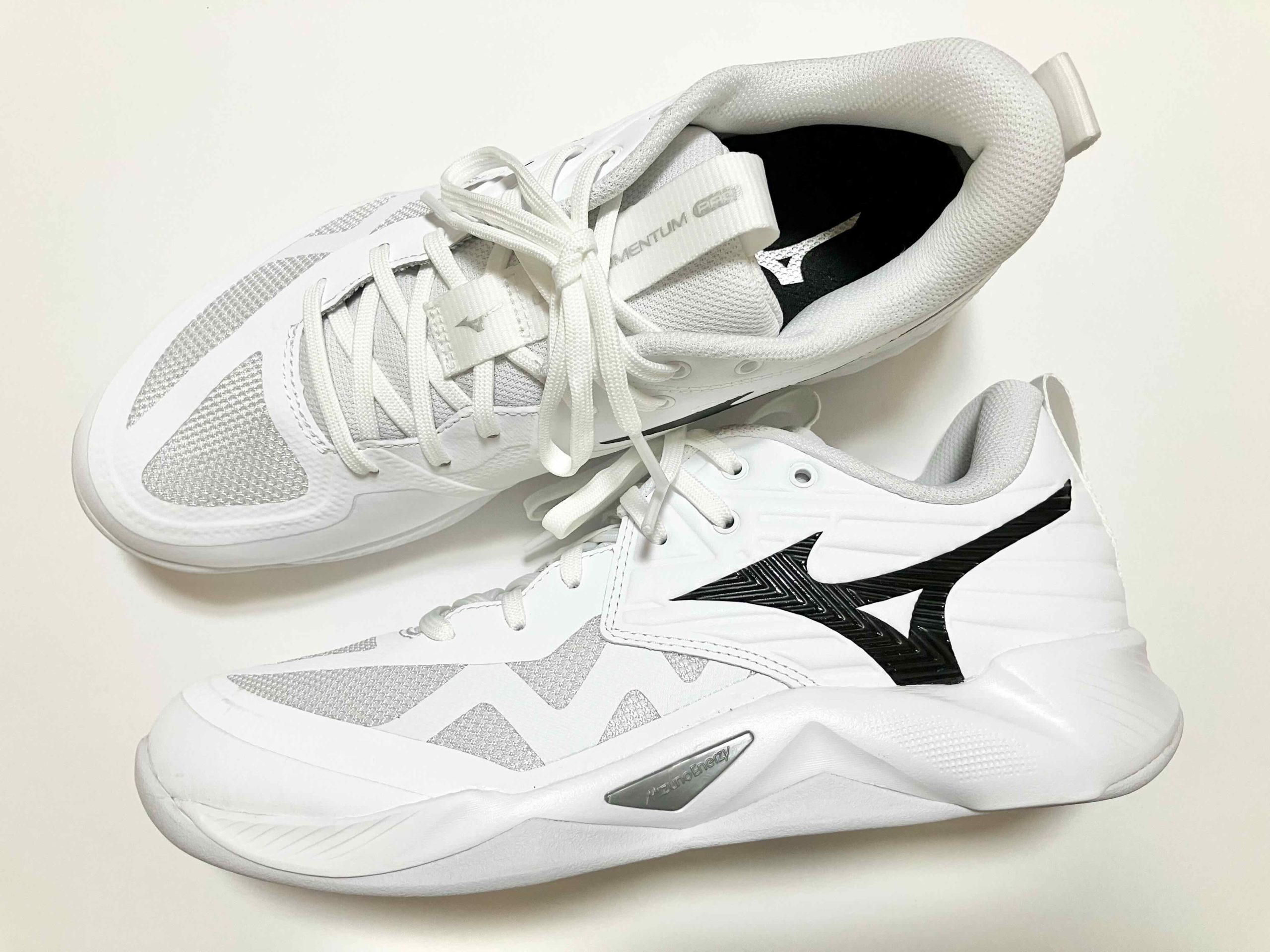 ウエーブモーメンタム プロ』レビュー｜「プロ」ではないが必要十分な