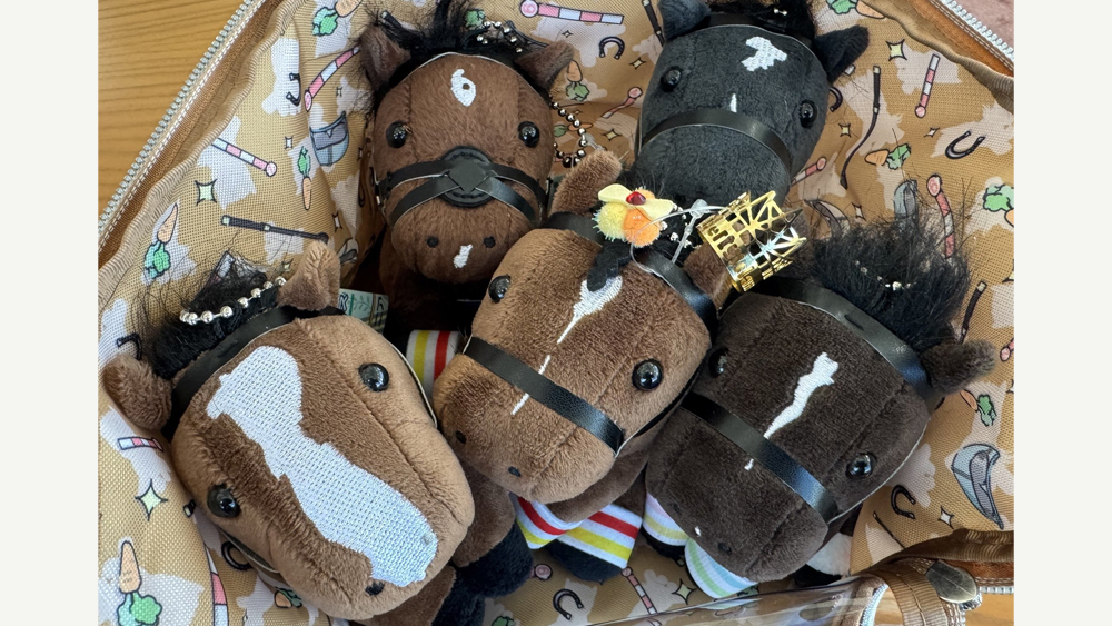 アイドルホース（ボールチェーン付）サンデーレーシングセットおでかけ