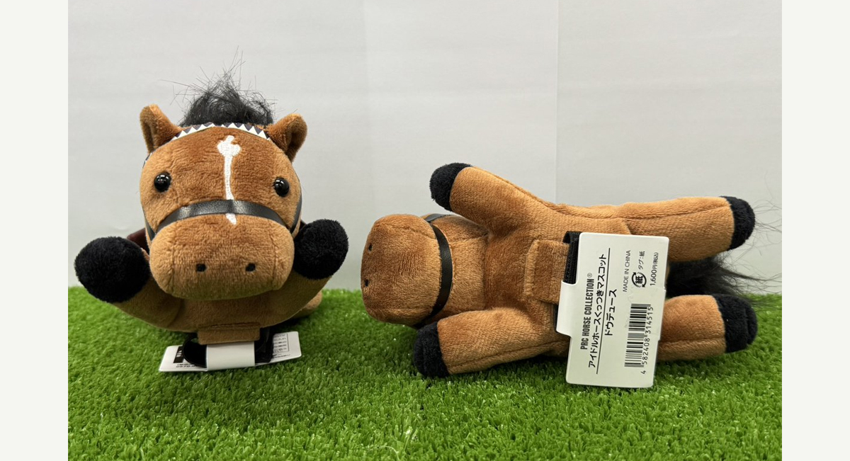 アイドルホースくっつきマスコット ドウデュース号プレゼント | | 中山