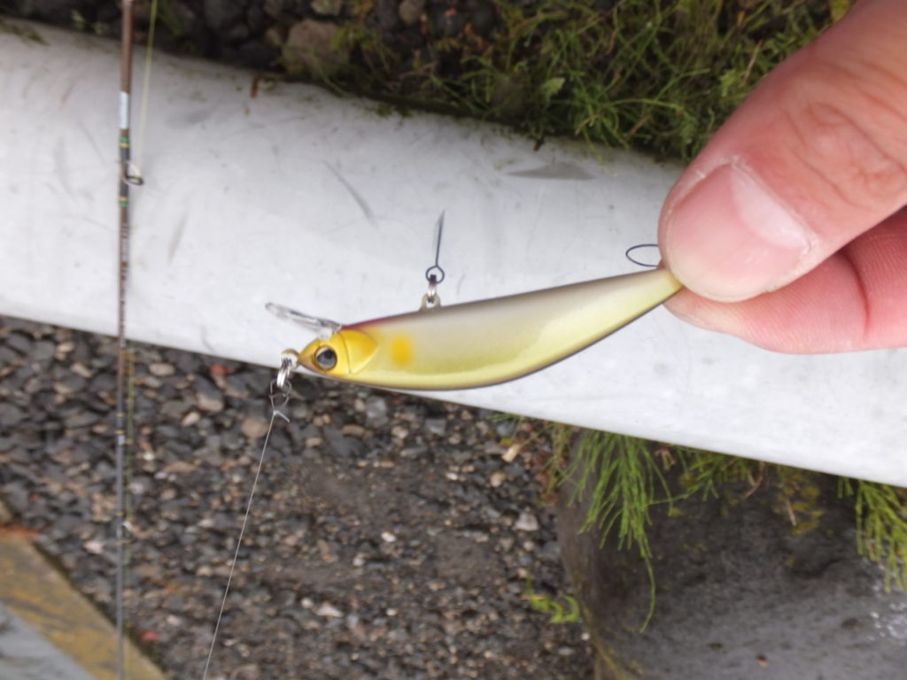 初心者ですが渓流ベイトフィネスで始めます。 | なきぶろぐ