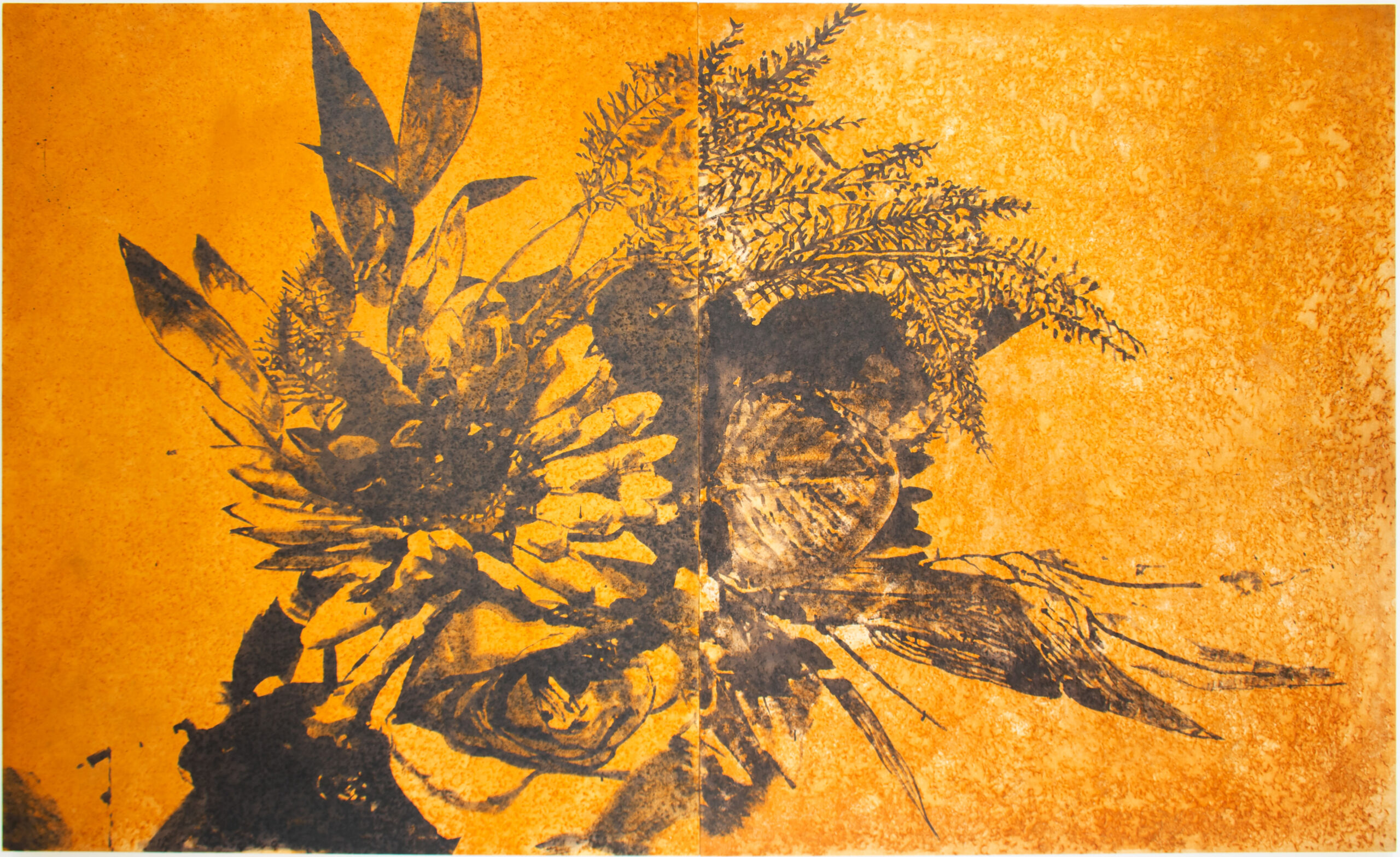 小谷 くるみ | 大阪中之島美術館