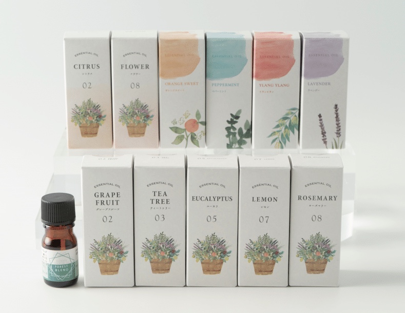 生活の木『福袋』予約販売 | 長崎浜屋