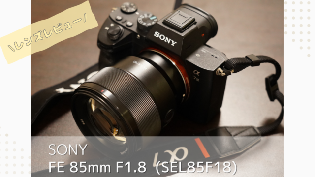 FE 85mm F1.8をレビュー｜ポートレート初心者におすすめのレンズ｜なが