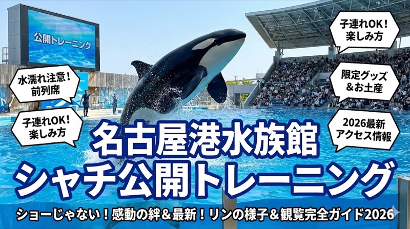 名古屋港水族館のシャチ完全ガイド｜公開トレーニングの時間・おすすめ