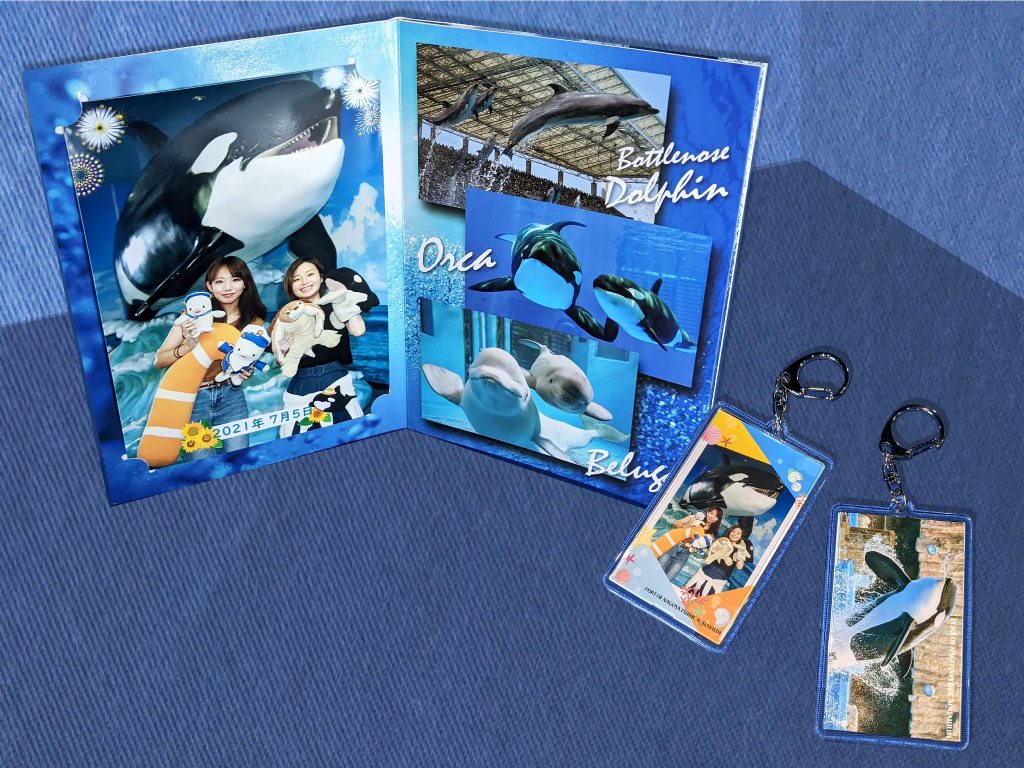 名古屋港水族館　シャチ　ナミちゃんうちわ 印刷用】雌シャチ「ナミ」大量の石誤飲／名古屋の水族館、死後判明