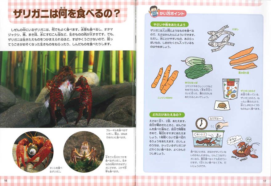 新刊NEWS『いきものとなかよし はじめての飼育』: ネイチャー＆サイエンス