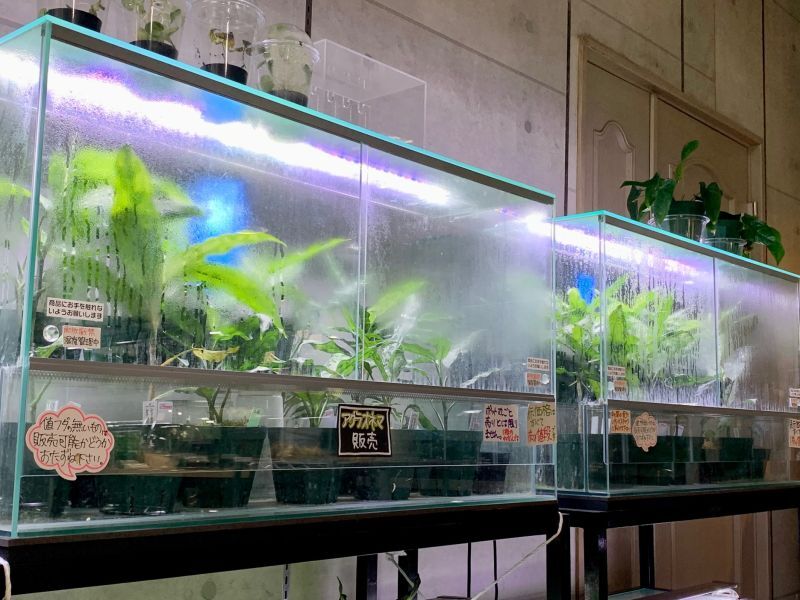 EHEIM エーハイム レプタイルケージ 9045入荷してます。 - What's New