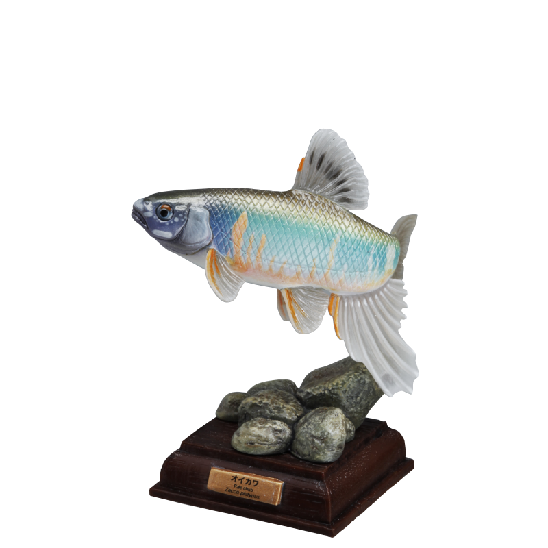 NTC 日本の清流 増補特装版 – ネイチャーテクニカラー公式