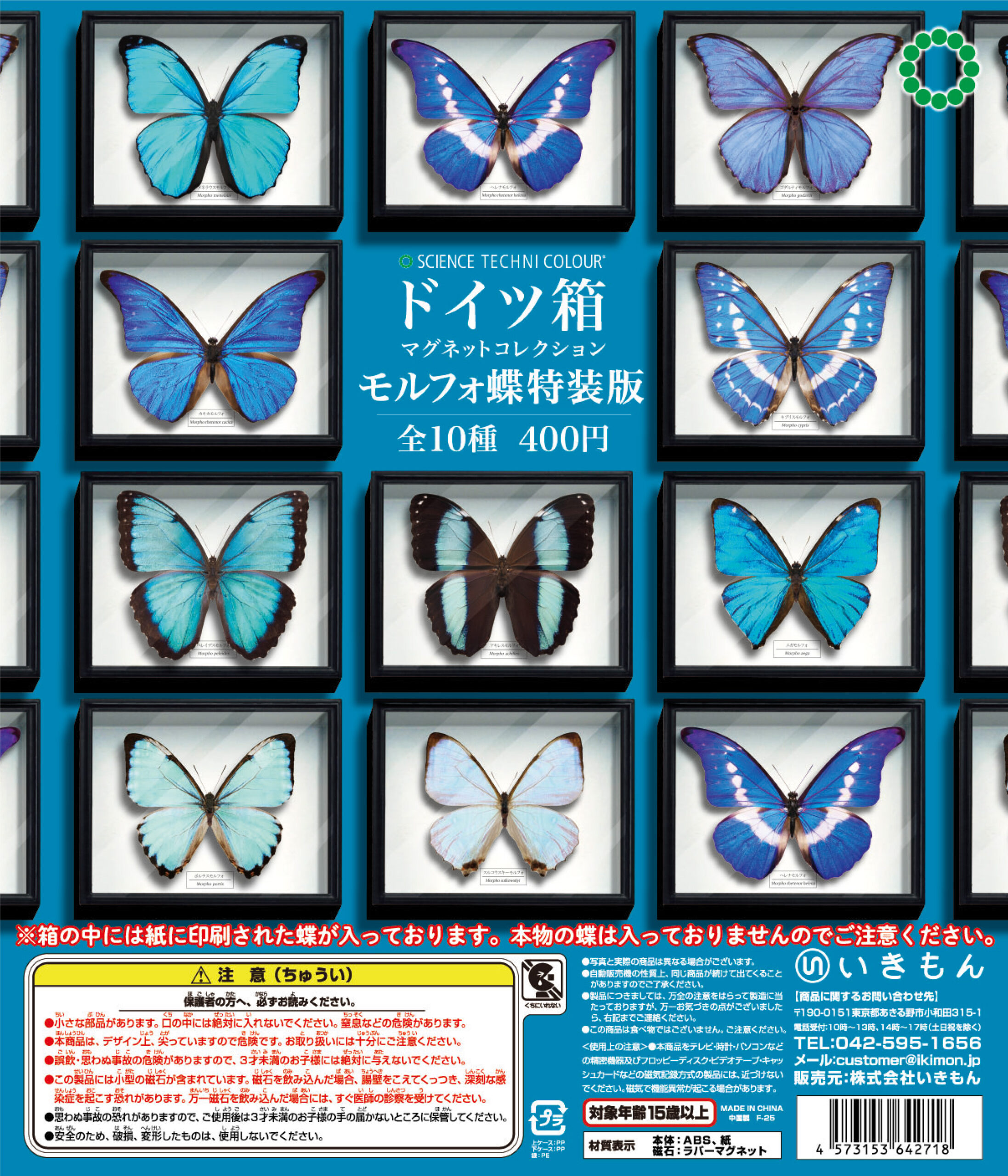 ☆rプロフ必須☆アマトンテモルフォチョウ♂標本 ドイツ型標本箱ミニ付