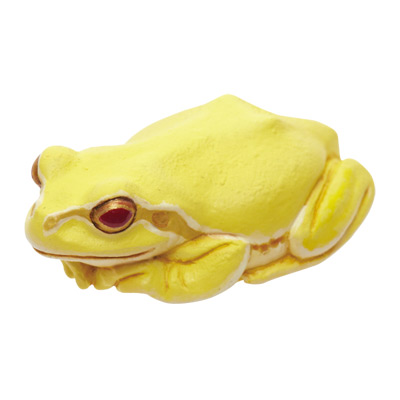 アマガエル マグネット×ストラップ – ネイチャーテクニカラー公式