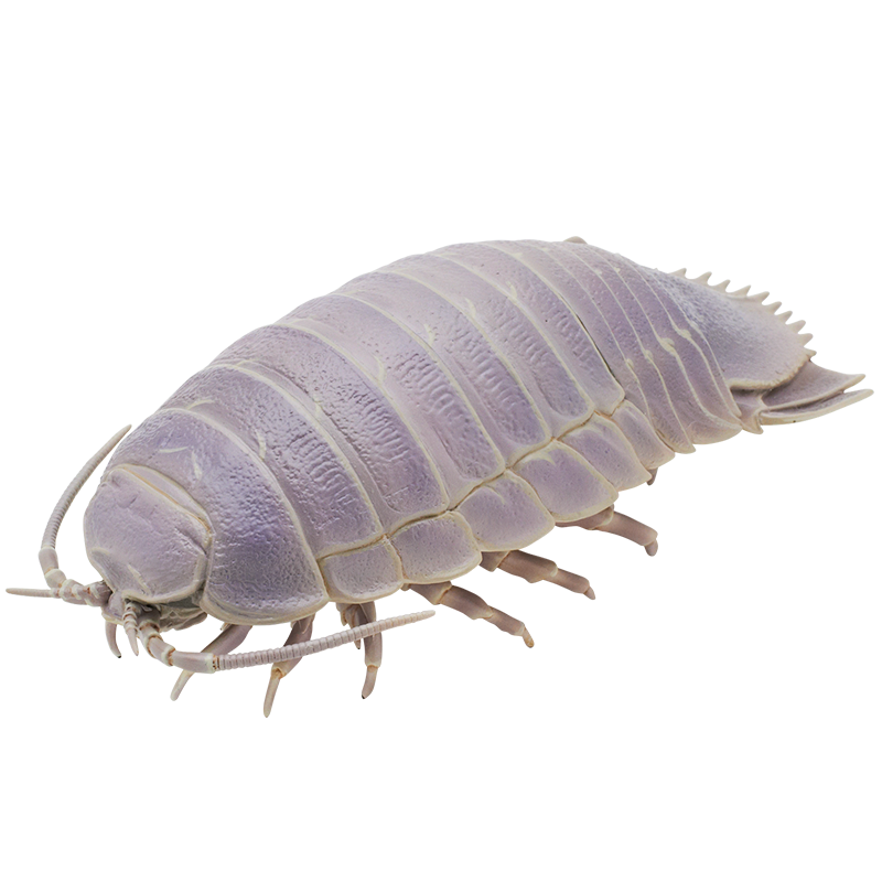 ダイオウグソクムシとオオグソクムシ ボールチェーン＆フィギュア