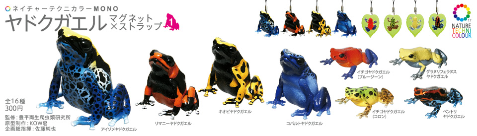 ヤドクガエル マグネット×ストラップ – ネイチャーテクニカラー公式