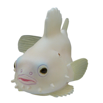 ダンゴウオ マグネット×ストラップ – ネイチャーテクニカラー公式