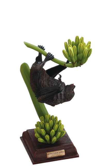 小笠原 OGASAWARA – ネイチャーテクニカラー公式