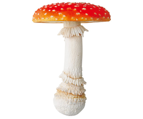 キノコ ソフトストラップ – ネイチャーテクニカラー公式