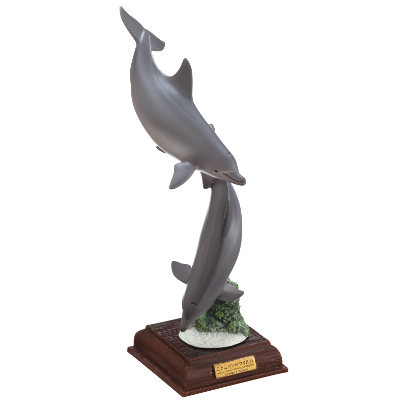 NTC 小笠原 特装版 – ネイチャーテクニカラー公式