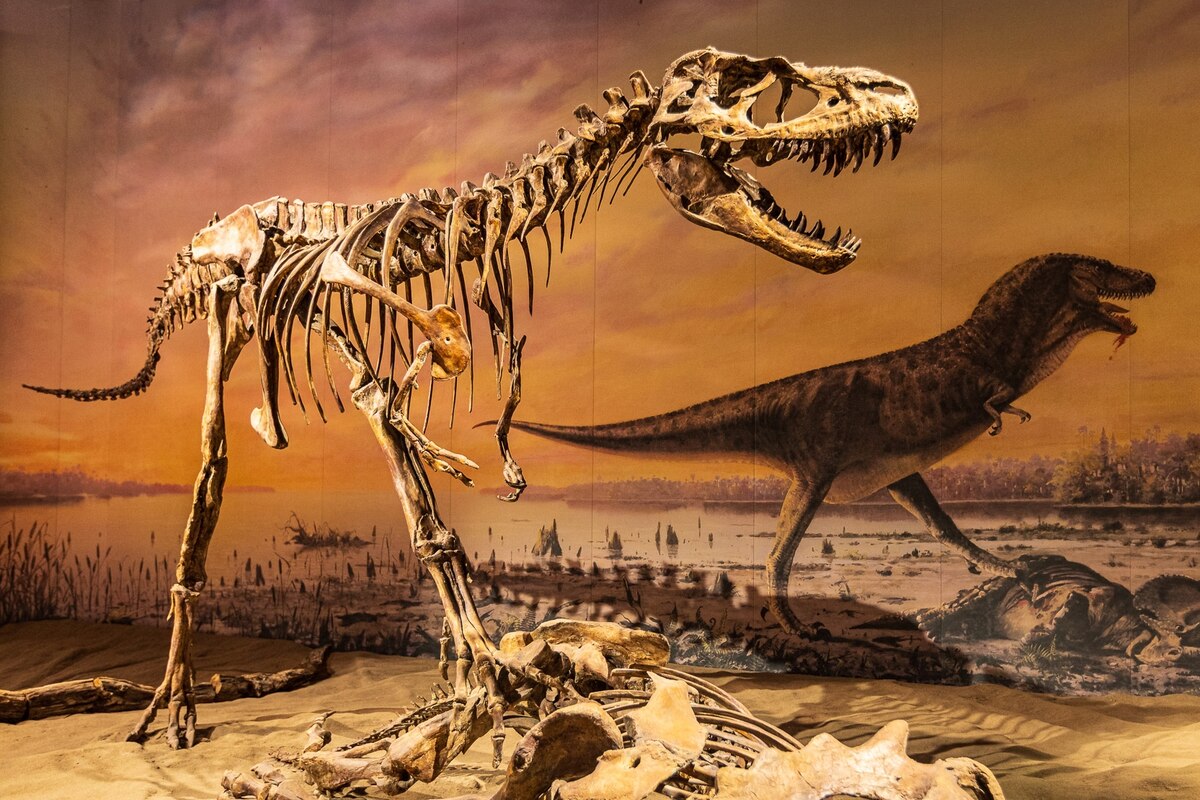 恐竜好きにはたまらない 骨格標本に加えて化石発掘も楽しめる聖地