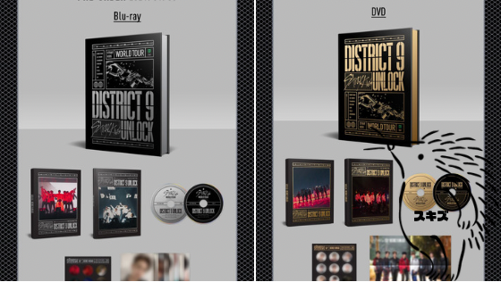 StrayKids初となるライブDVD＆Blu-Rayをリリース！「World Tour