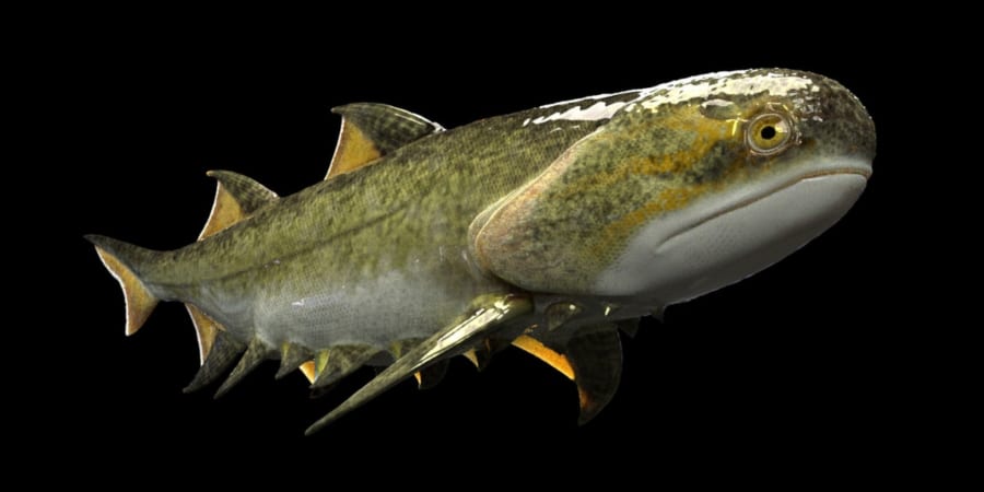 中国で「アゴを獲得した生物」の最古の化石を発見！ - ナゾロジー